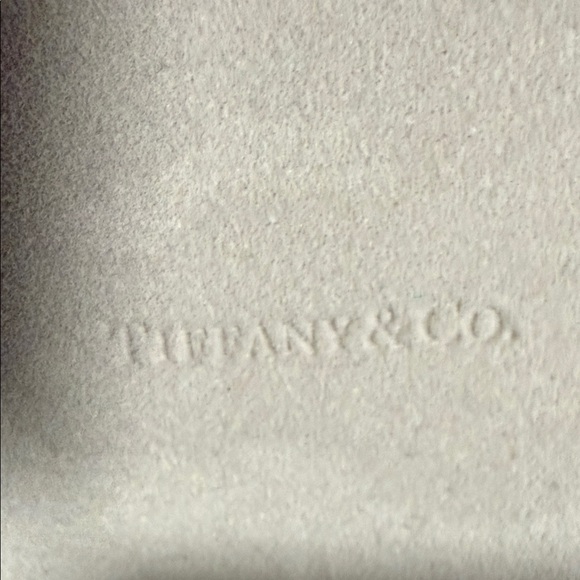 Tiffany & Co. Turquoise Women's eye glass case - Picture 5 of 5